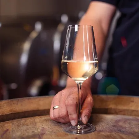 Wachau Supperer 公寓 Rossatz