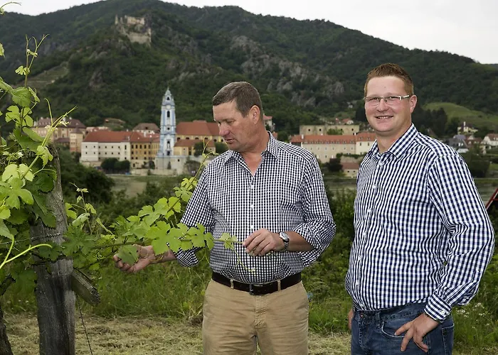 Wachau Supperer 公寓 *