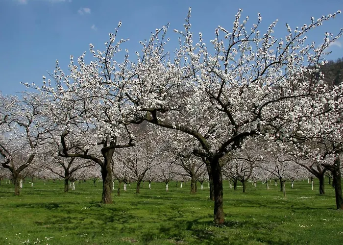 公寓 Wachau Supperer