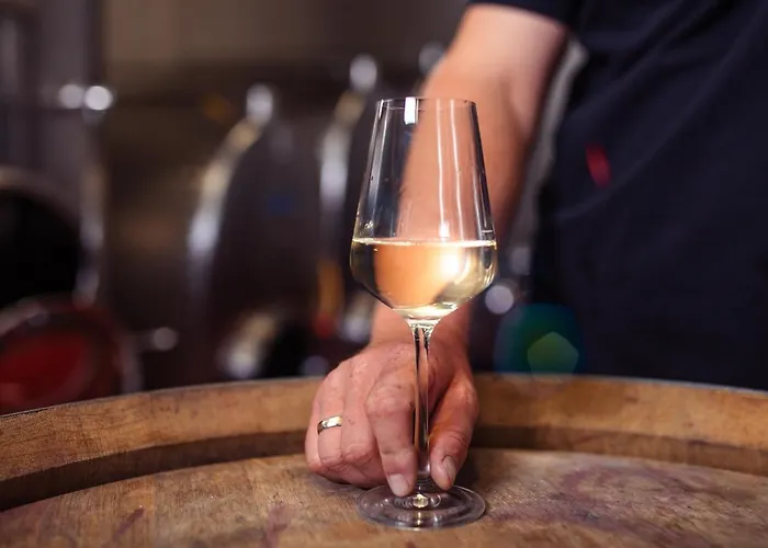 Wachau Supperer Διαμέρισμα Rossatz